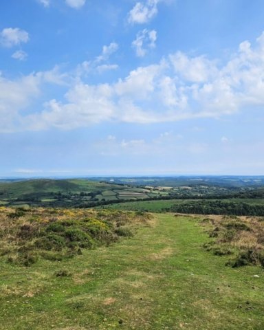 Dartmoor Memorial
