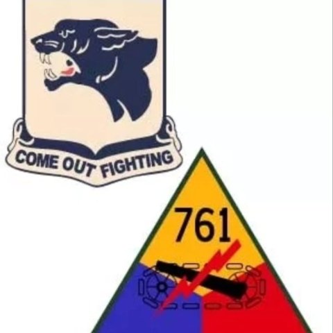 Black Panthers Logo