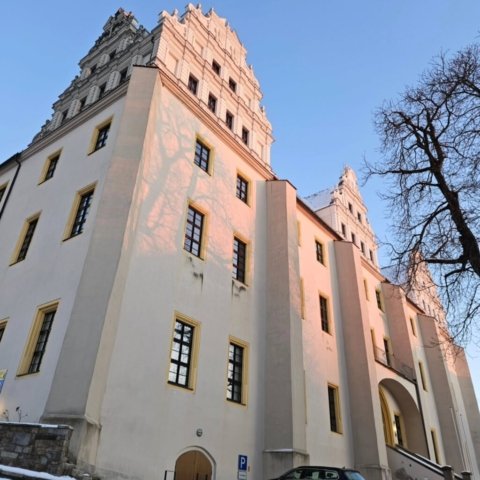Ortenburg Castle close-up