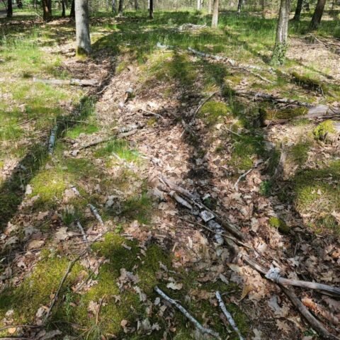 traces of war Neuseddin