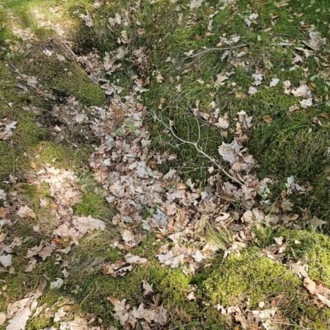 traces of war Neuseddin