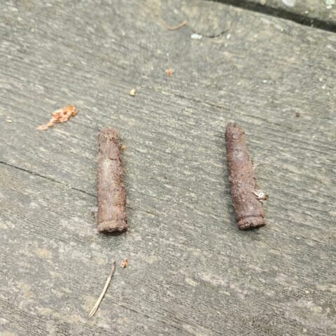traces of war Neuseddin