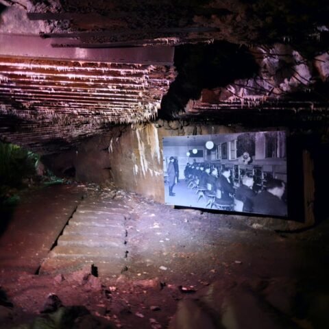 Wolf's Lair