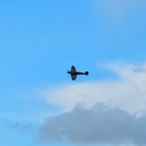 We Have Ways Fest 2025