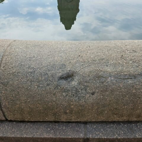 davidsumnerhistory_1759428008_3734675275809305828_65372354849 Völkerschlachtdenkmal Leipzig